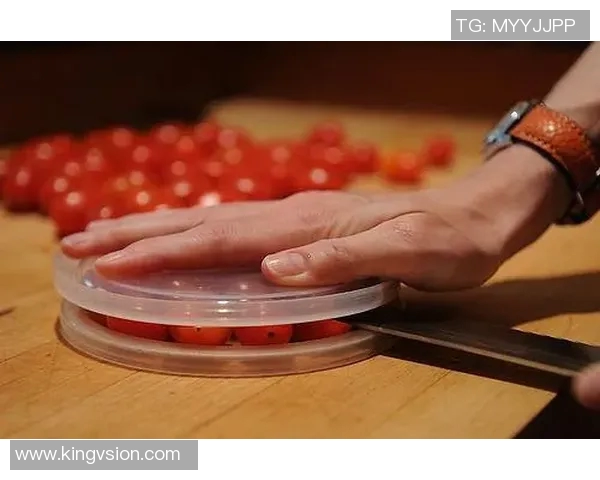 手胶的多种用途与选购指南让你的生活更加便利与创意无限